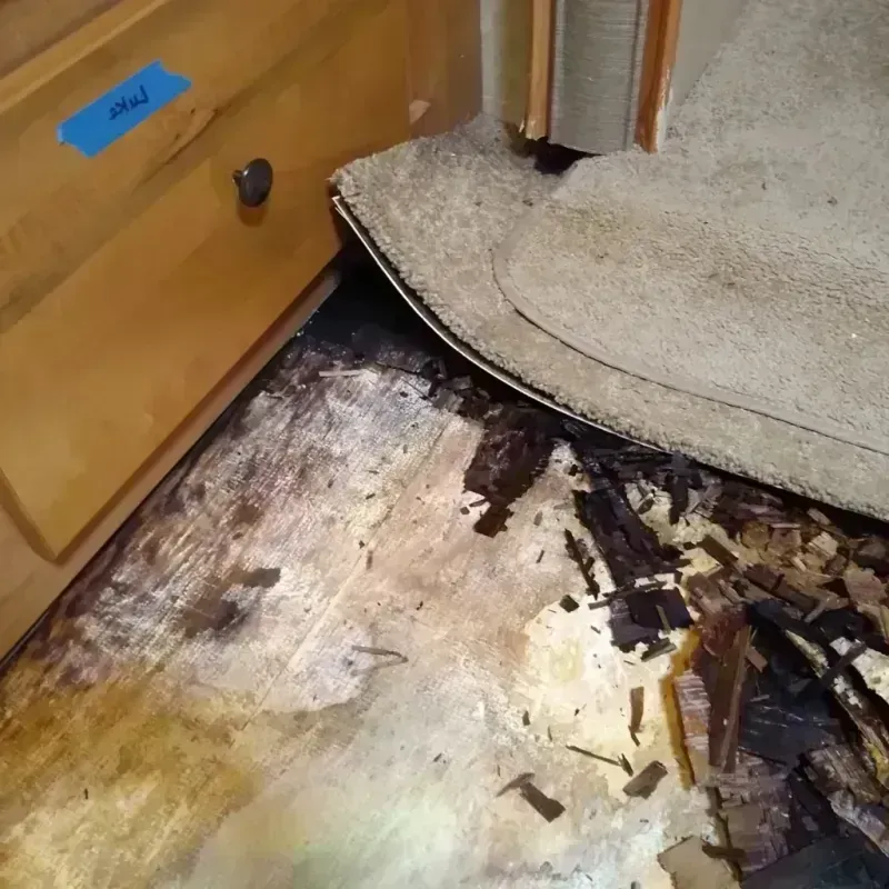 Wood Floor Water Damage in Sandusky County, OH